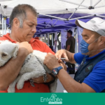 Jornada “Sigamos Creciendo por tu Colonia” en Atizapán